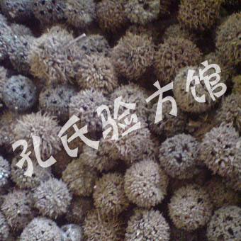 壁厚,具孔沟